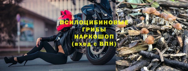стафф Баксан